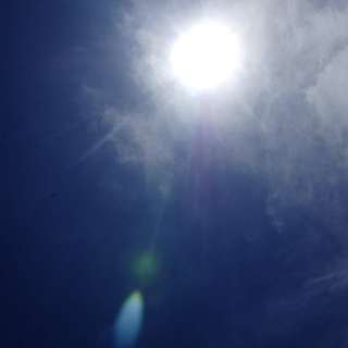 夏の日差し☆