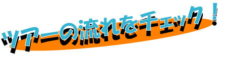 青の洞窟体験ダイビング ボート体験