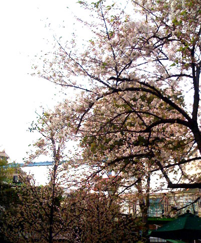花やしき