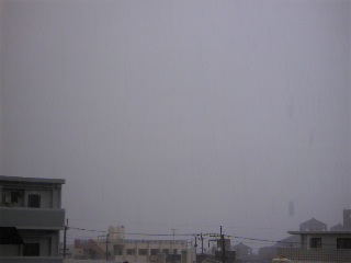 久しぶりの雨・・・