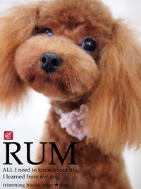 ★RUM 2012/04/09 00:50:45