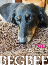 ★BEGBEE-HOTEL 2012/04/13 08:08:00