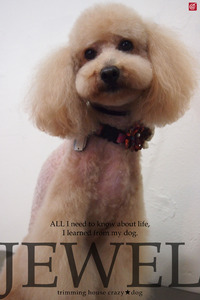 ★JEWEL 2012/04/12 08:00:00