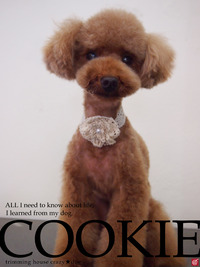 ★COOKIE 2012/04/15 08:00:00