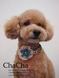 ★ChaCha 2012/04/16 08:00:00