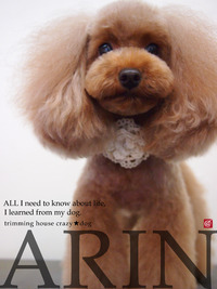★ARIN 2012/04/17 08:00:00