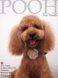 ★POOH 2012/04/19 08:00:00