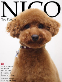 ★NICO 2012/04/20 08:00:00