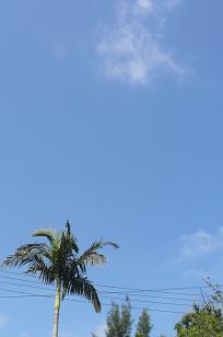 久しぶりですね~
