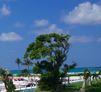 沖縄、今日の空