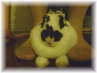 2012年度の時間割
