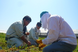 ３月９日（土）農業体験～夏野菜の種まきと栽培方法