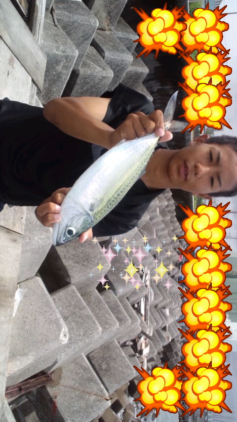 寝坊釣り
