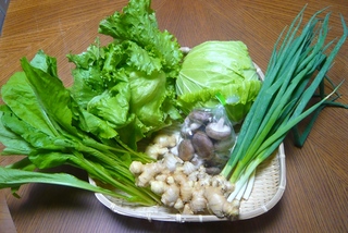 １２月８日　元気野菜をご紹介致します