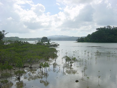 Short Nature Tours 【Guided Tours in Okinawa 】 Short Nature Tours 【Guided Tours in Okinawa 】