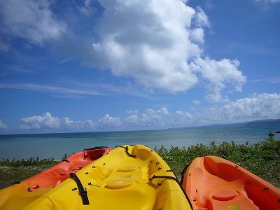 Short Nature Tours 【Guided Tours in Okinawa 】 Short Nature Tours 【Guided Tours in Okinawa 】