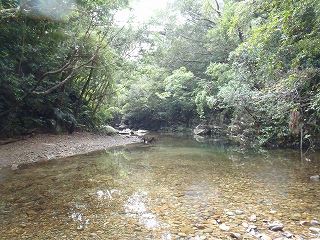 ★Hiji Waterfall River Trekking★【Guided Tours in Okinawa 】