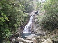 ★Hiji Waterfall River Trekking★【Guided Tours in Okinawa 】