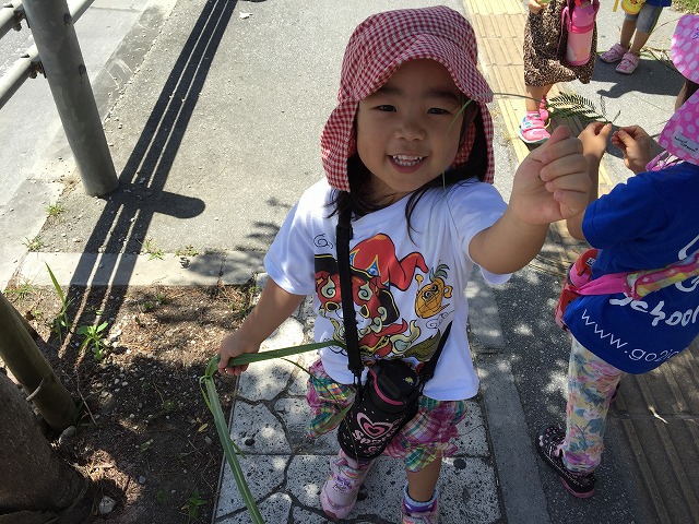 walk day walk day