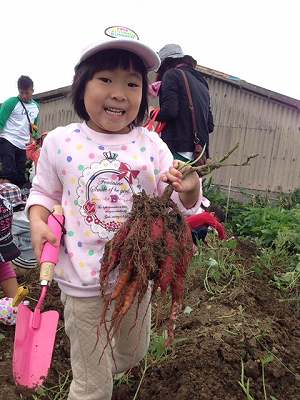 Sweet Potato Picking ! 芋ほり遠足