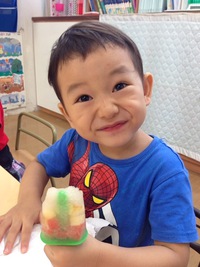 Fruit Ice Candies