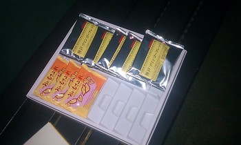 4月1日のガチンコ