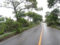 台風7号被害報告