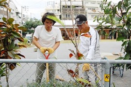 にぎわい広場の花壇