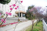 週末は中央公民館まつりに行こう!