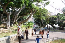 桜坂劇場の手づくりバザーやってます