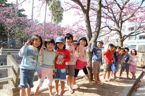 なはさくらまつり開催中です♪