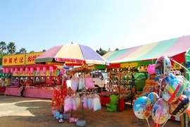 なはさくらまつり開催中です♪