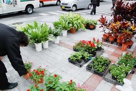 那覇農産物フェアーやってます