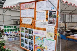 那覇農産物フェアーやってます