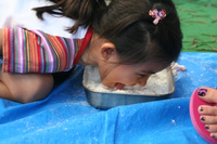 iac International Kids Academy Sports Day