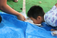 iac International Kids Academy Sports Day