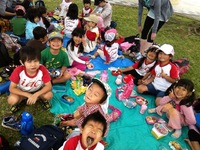 Potato Picking 2012