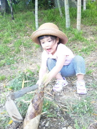 竹の子掘り