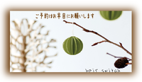 2011年12月15日