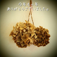 2011年12月31日