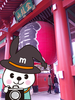 maro69