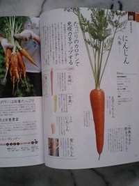 野菜の便利帳