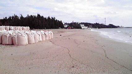 数百個も！　砂浜に積み上げられた砂袋