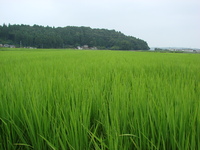 2010年10月06日