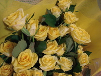 2010年10月01日