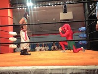 プロレス 2008/08/12 20:25:42