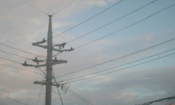 center