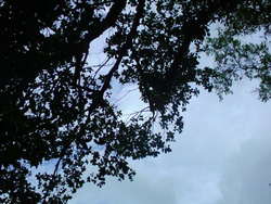 center