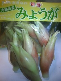みょうが
