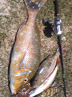 to-key